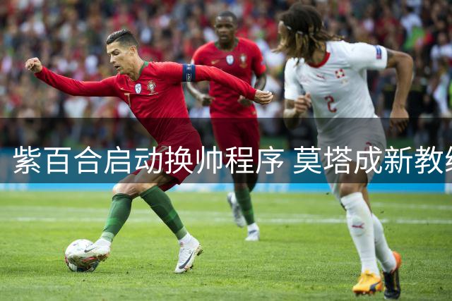 紫百合启动换帅程序 莫塔成新教练候选